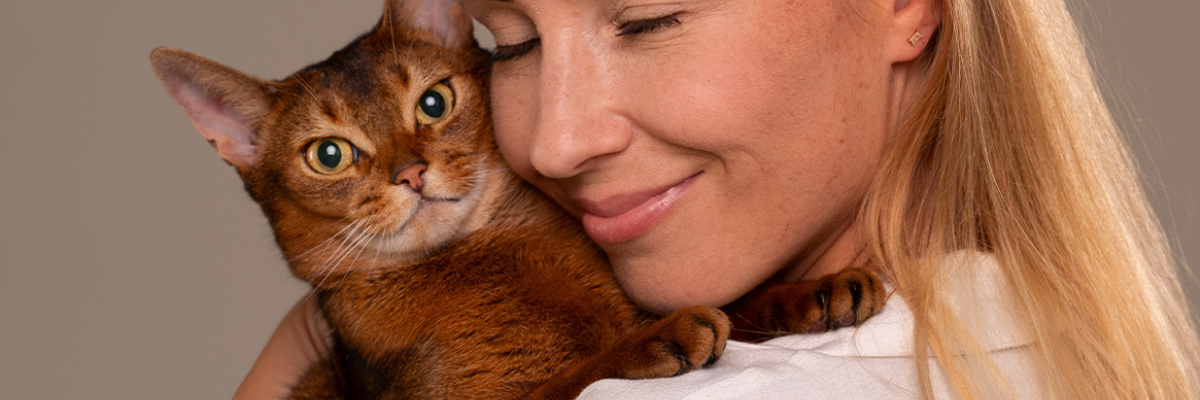Inflammatory bowel disease (IBD) in cats