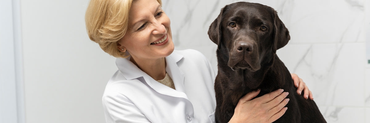 Heartburn in dogs