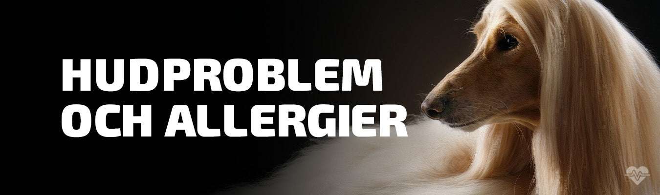 Theme: Skin problems and allergies