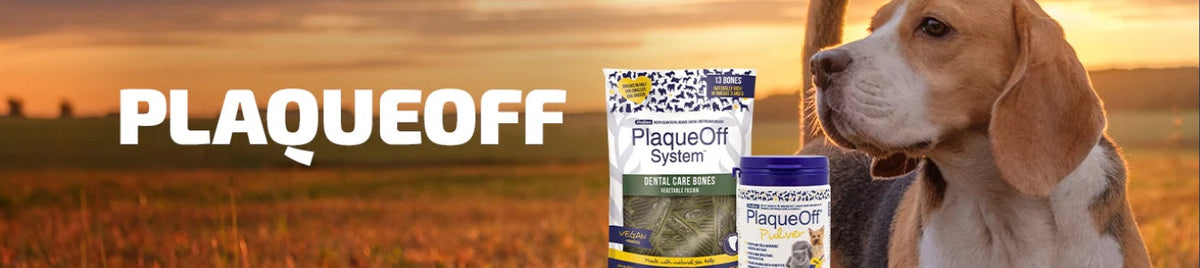 PlaqueOff