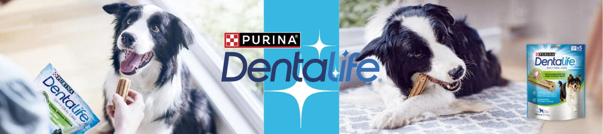 Purina Dentalife