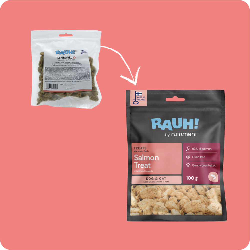 RAUH! Laxgodis 100 g för hundar och katter