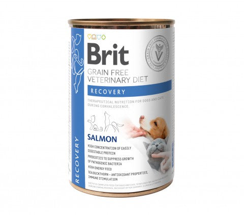 Brit Recovery Salmon märgtoit kassidele ja koertele 400g