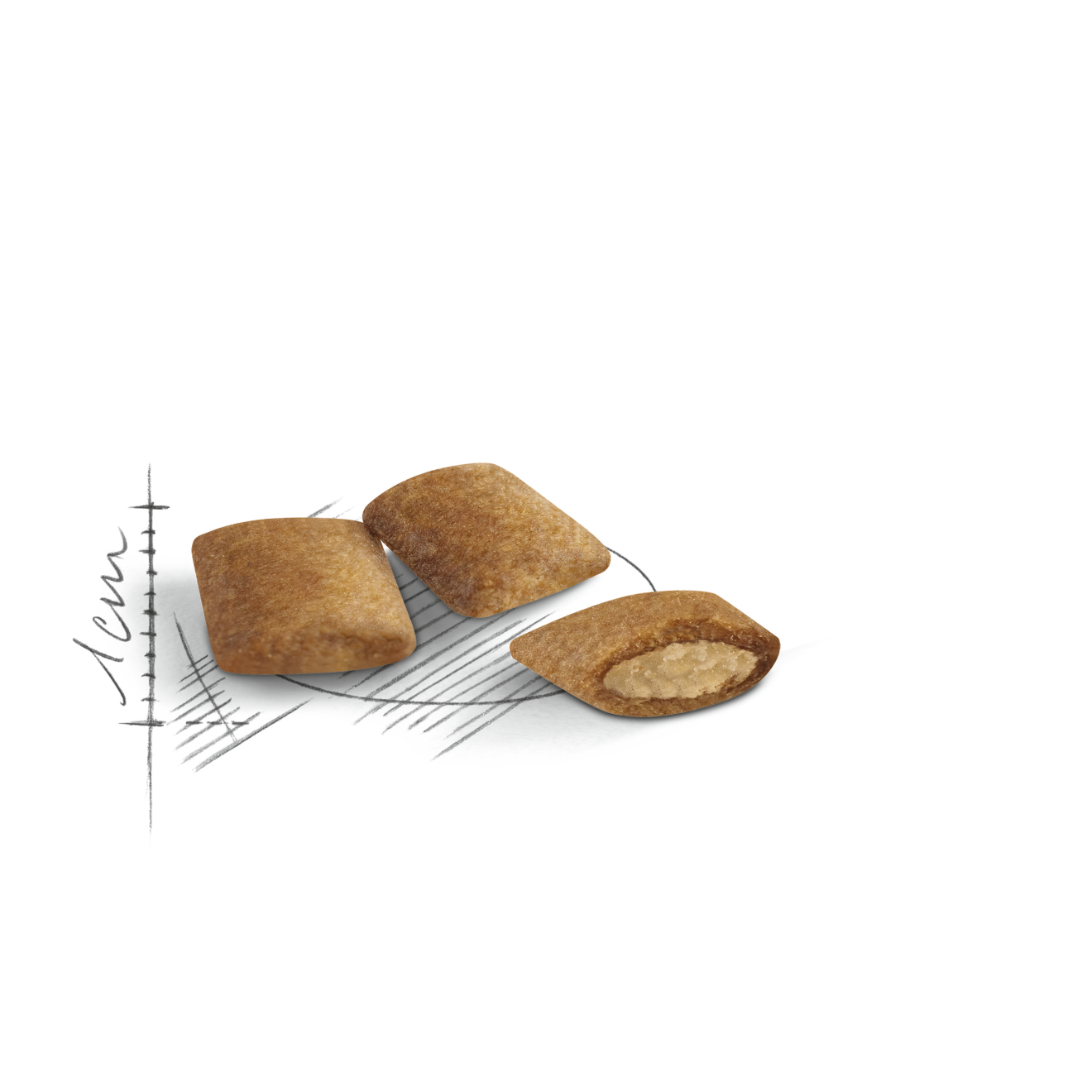 Royal Canin Ageing 12+ Kattmat 400 g