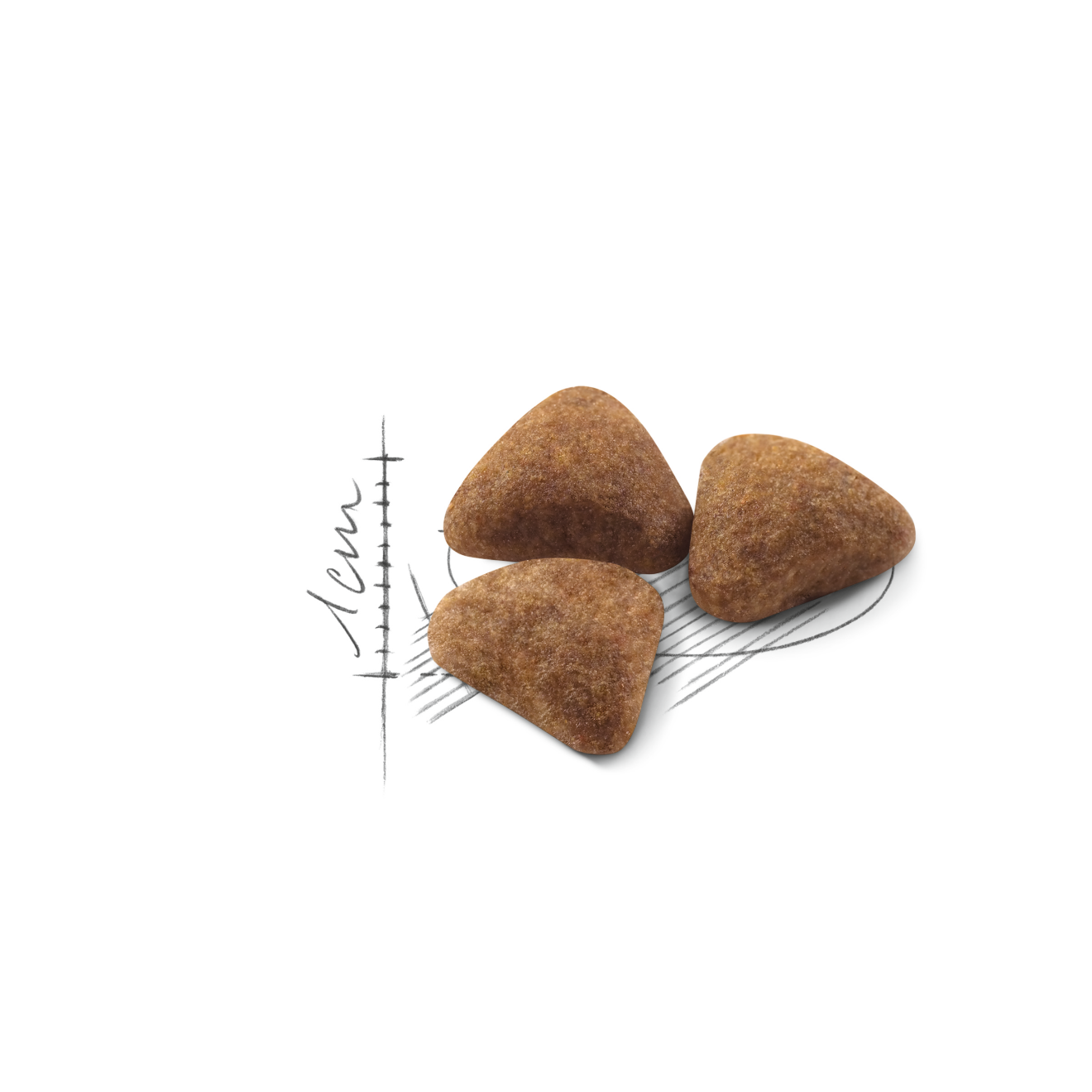 Royal Canin Indoor Adult torrfoder för katt 4 kg