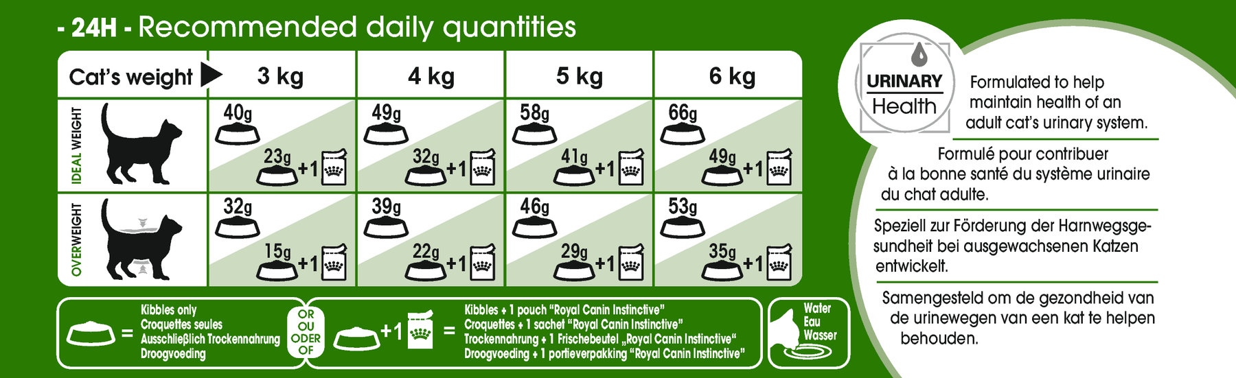 Royal Canin Outdoor Torrfoder för Katt 10 kg
