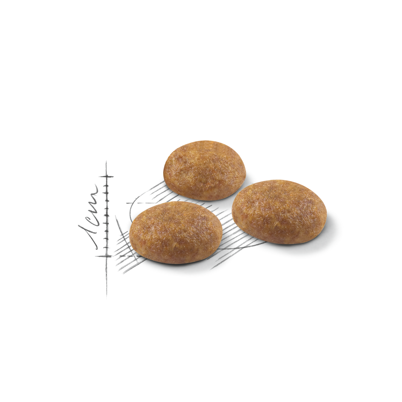 Royal Canin Outdoor Torrfoder för Katt 10 kg
