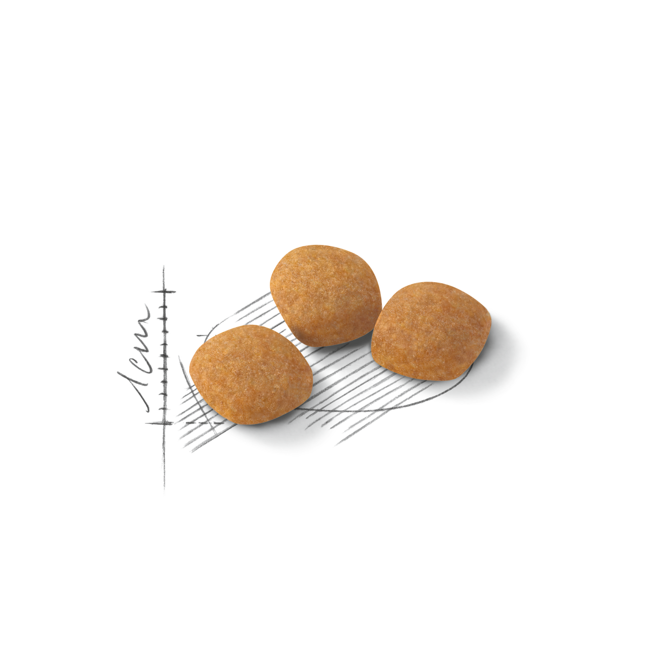 Royal Canin Protein Exigent Torrfoder för Katt 2 kg