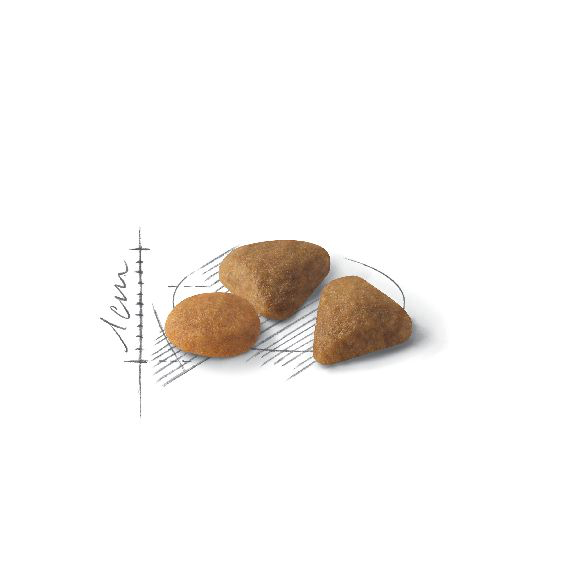Royal Canin Savour Exigent katt 400 g