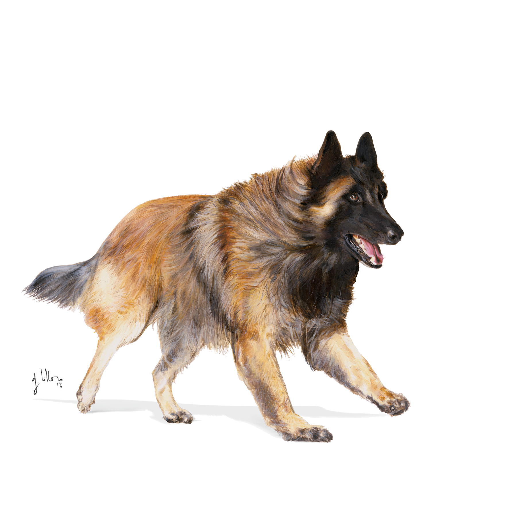 Royal Canin Sporting Life Energy 4300 Adult dry food for dogs 15 kg