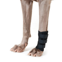 Back on Track koiran jalkasuoja S