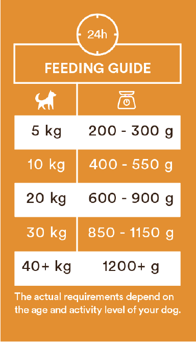 Monster Dog Adult Single Protein Duck 6 x 400 g för hundar