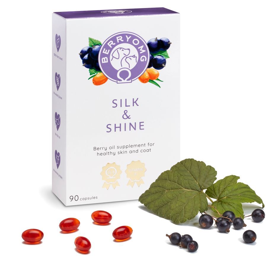 BERRYOMG Silk & Shine för Hundar och Katter 90 Kapslar