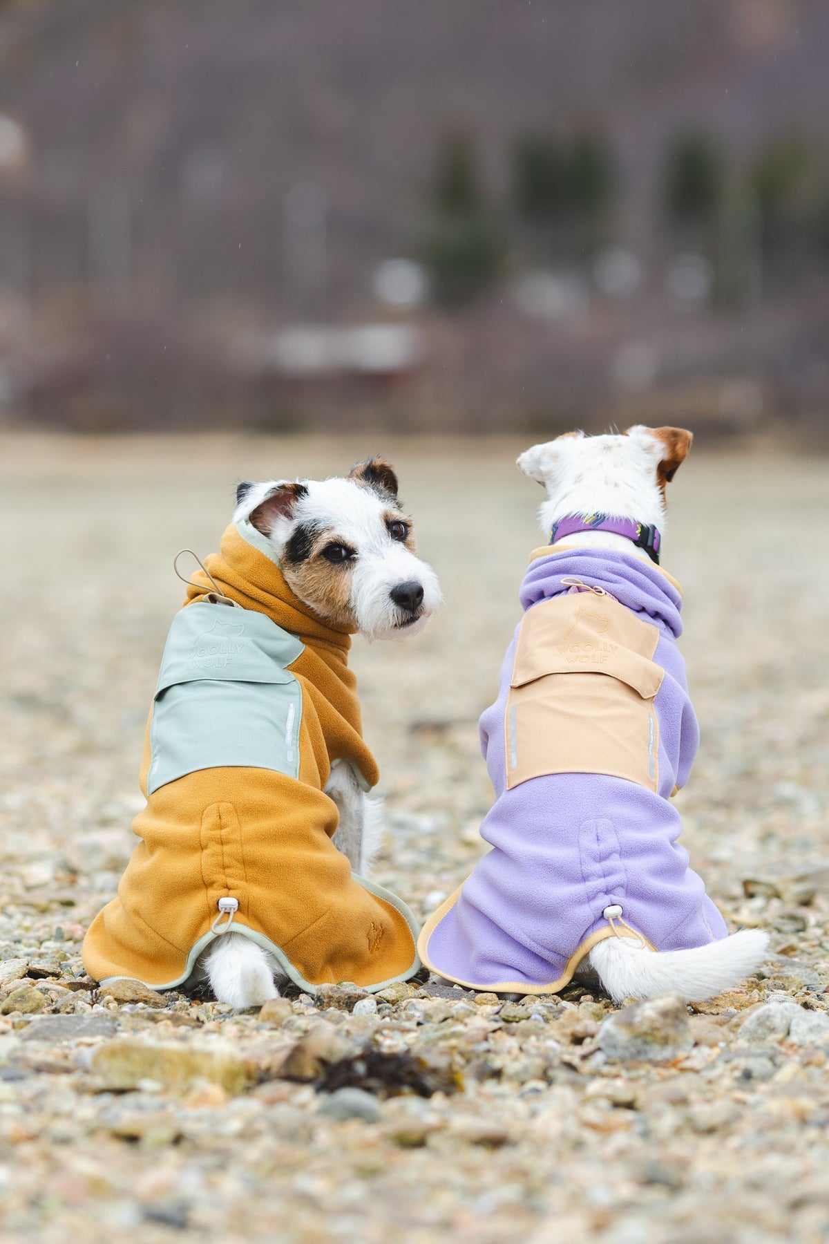 Woolly Wolf Alpha 360 Dog Fleece Pullover