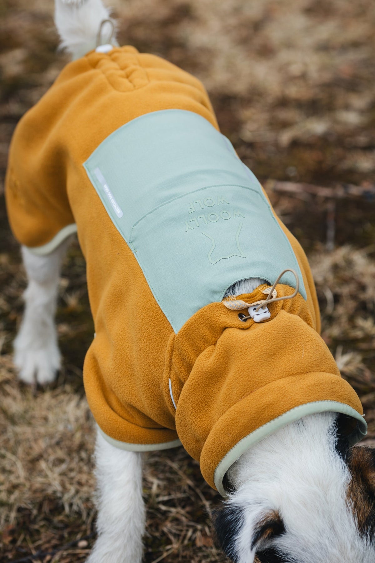 Woolly Wolf Alpha 360 Dog Fleece Pullover