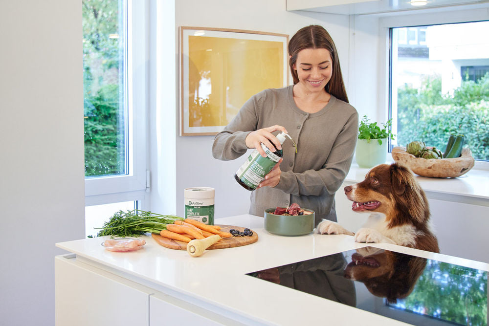 Aniforte Barf Complete tillskott för hund 500 g