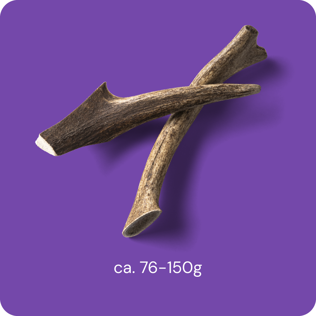Nutriment Antler M - Hjorthorn 1 pcs