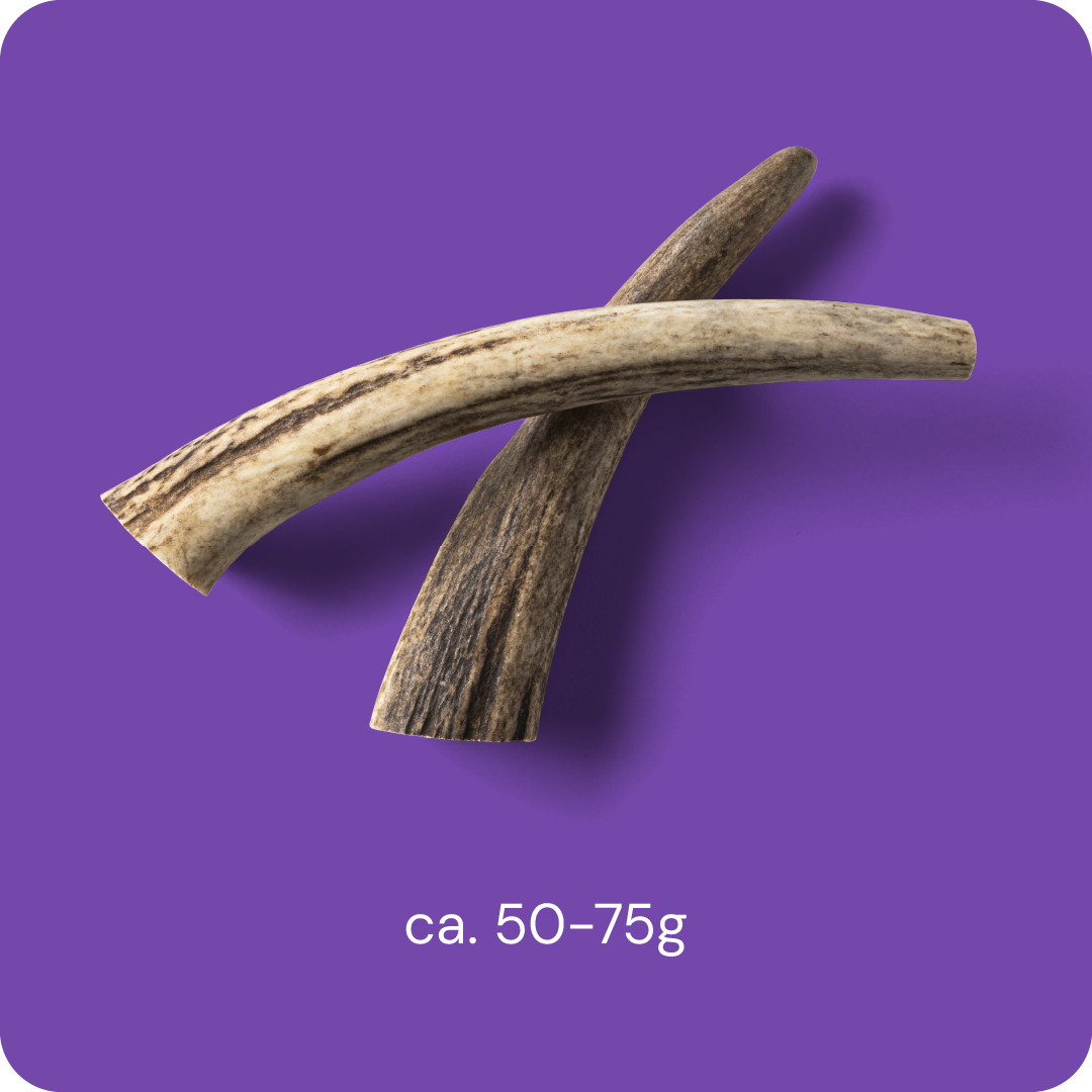 Nutriment Antler S - Hjorthorn 1 pcs