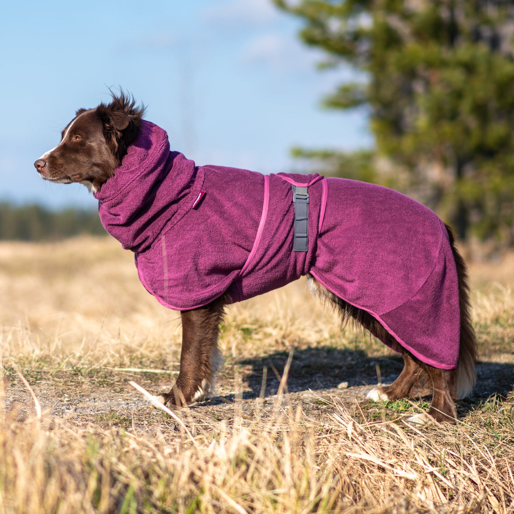 BathPomppa Hundbadrock Plum 80/85 cm