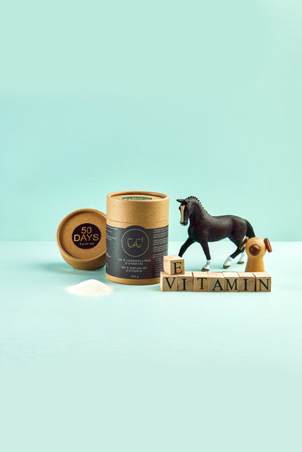 Chia De Gracia naturligt E-vitaminpulver för häst och hund