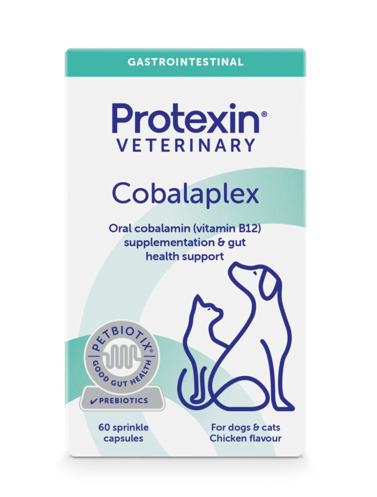 Protexin Veterinary Cobalaplex för katter och hundar 60 kapslar