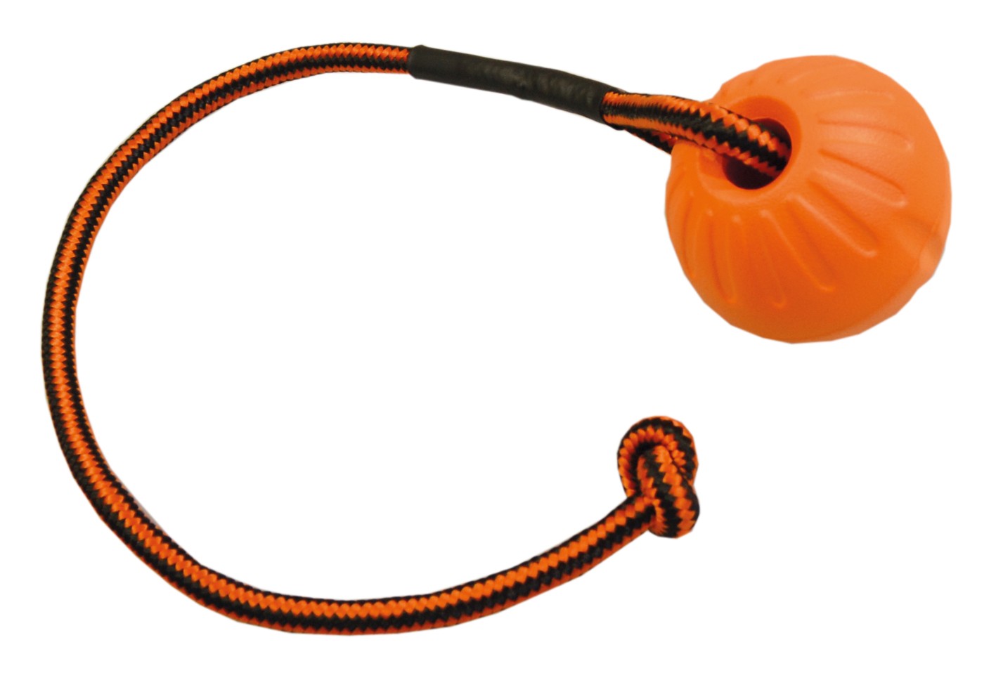 D&C Foam boll med rep S 7 cm för hundar