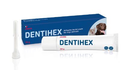 Dentihex Fästande Tandgel för Hundar och Katter 20 g