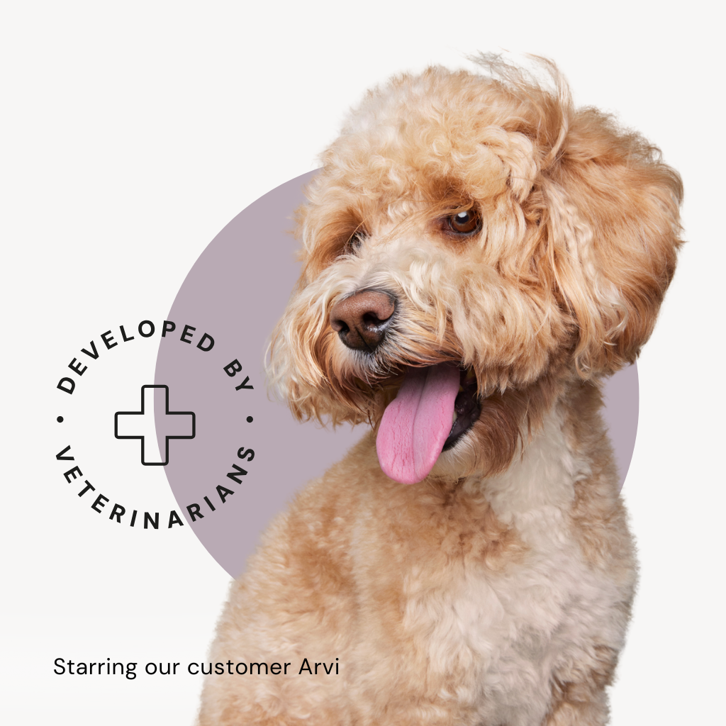 Alvar Pet Digestion/Duck dry food for dogs