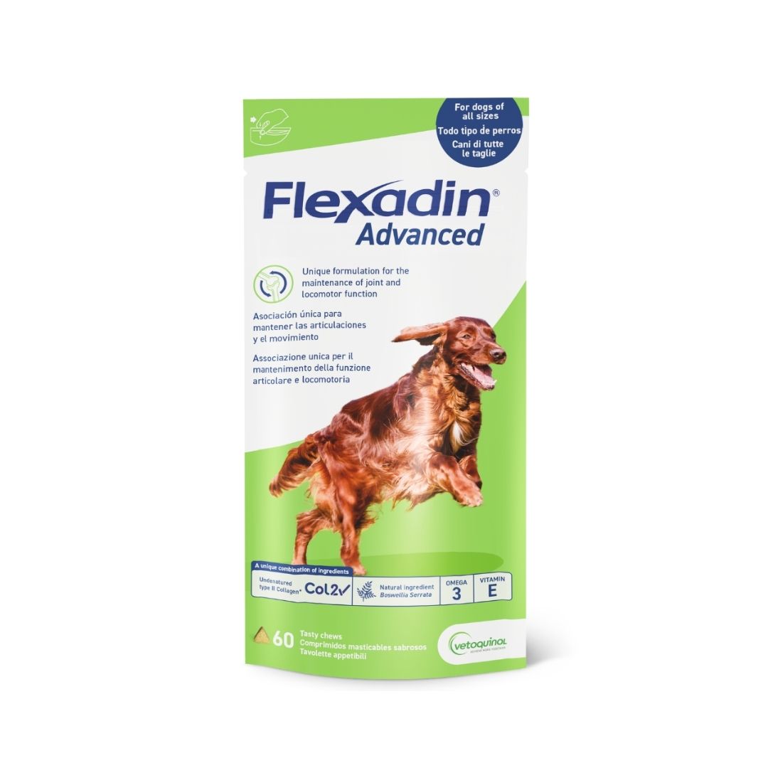 Flexadin advanced Dog 2 x 60 chewable tablets
