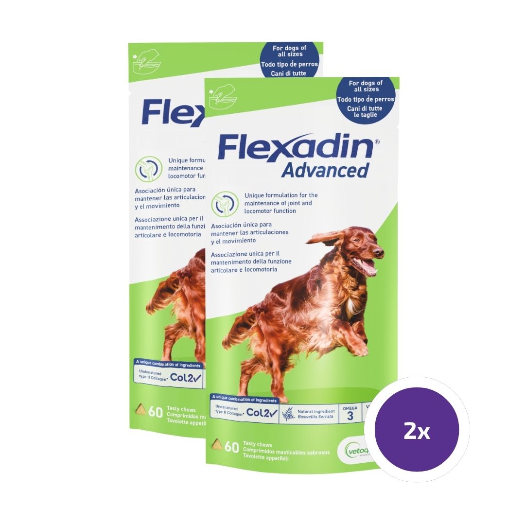 Flexadin advanced för Hund 2 x 60 tuggtabletter
