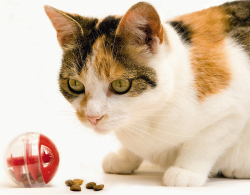 Beeztees Twirly Adjustable Treat Ball for Cats – 5.5 cm