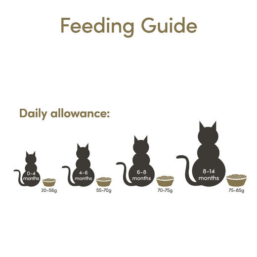 Applaws Kitten Kyckling 2 kg torrfoder för kattungar