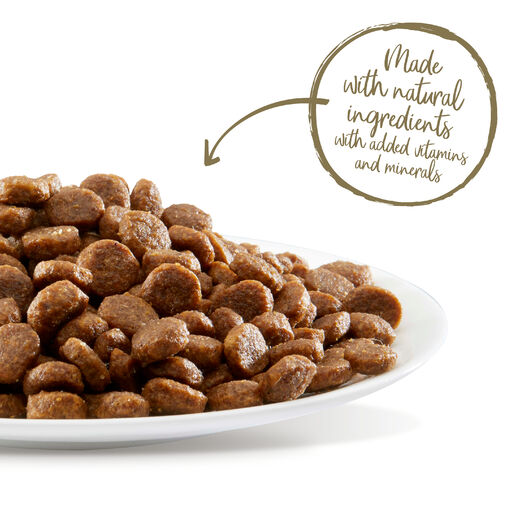 Applaws Kitten Kyckling 2 kg torrfoder för kattungar