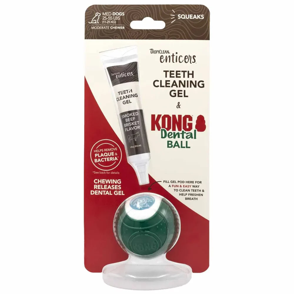 Kong Dental Ball & Tropiclean Teeth Cleaning Gel medium hundar