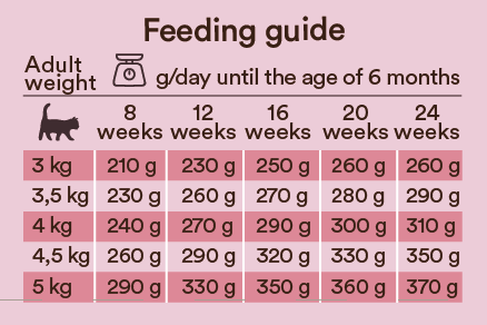 Monster Cat Baby Mousse 100 g för kattungar
