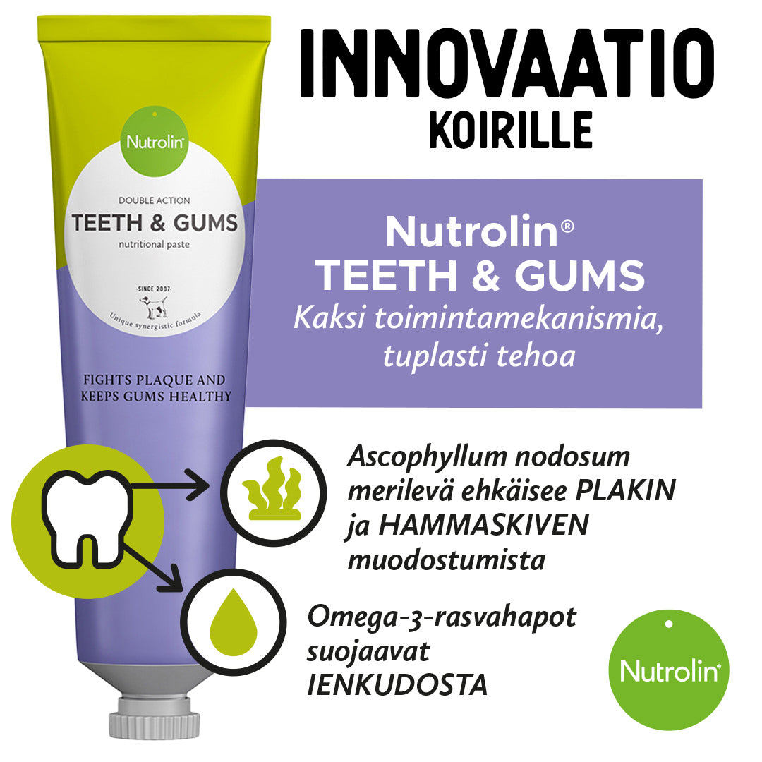 Nutrolin Teeth & Gums omegapasta 3 x 200 g för hund och katt