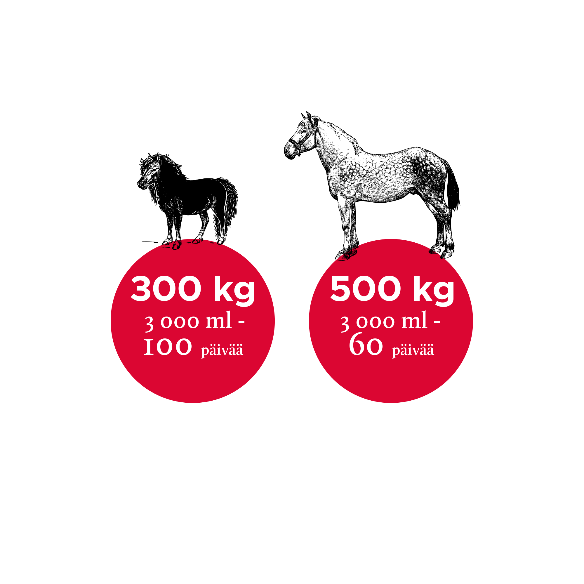 Nutrolin Horse Sport för häst 3000 ml
