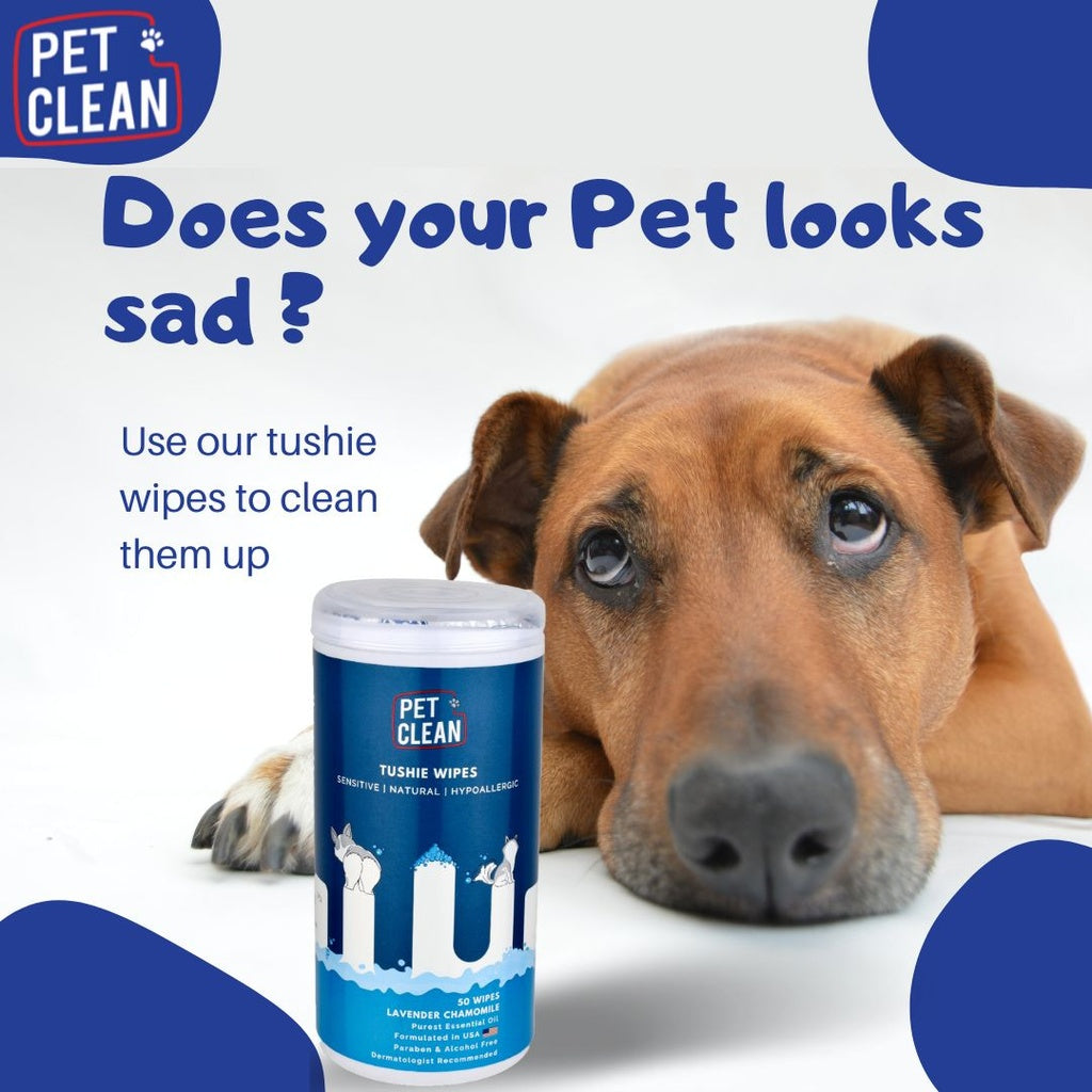 Pet Clean Tushie rengöringsservetter för hundar och katter 50 st