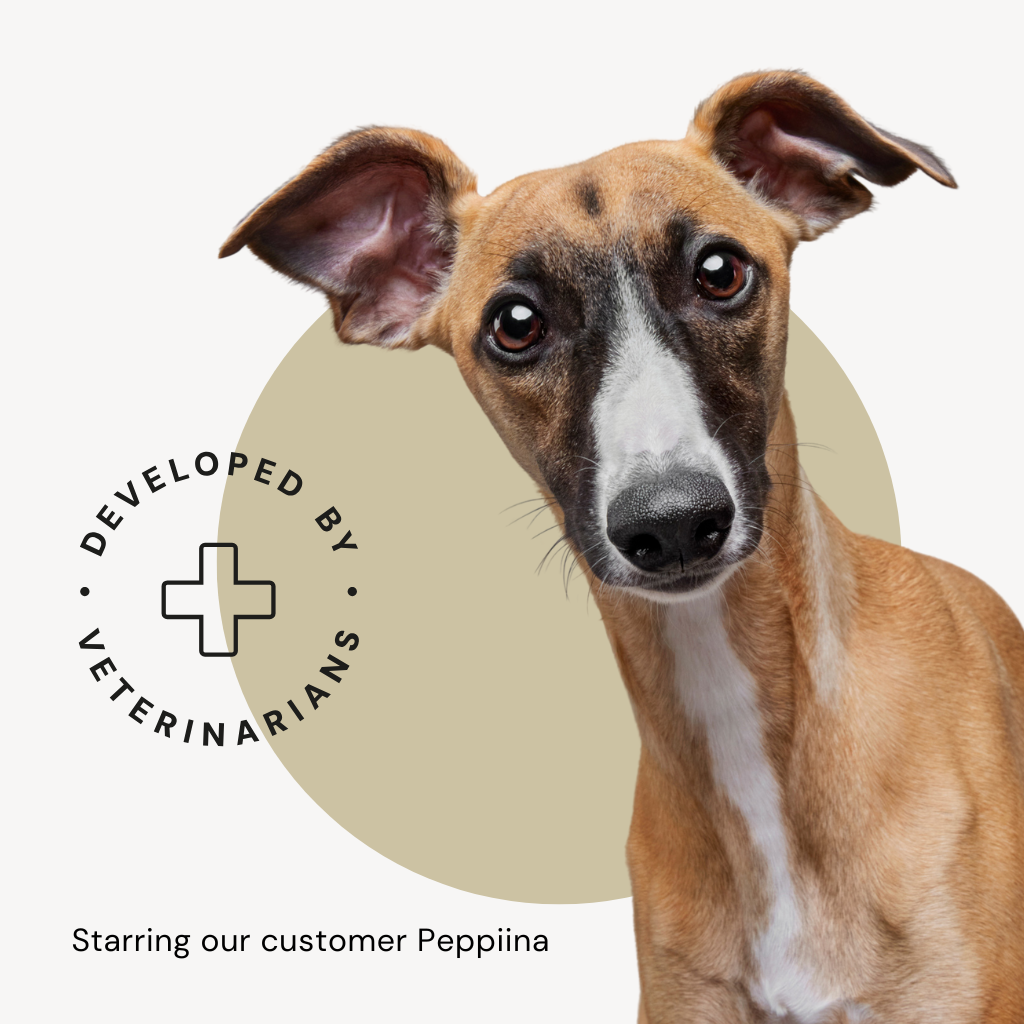 Alvar Pet Performance/Chicken dry food for dogs