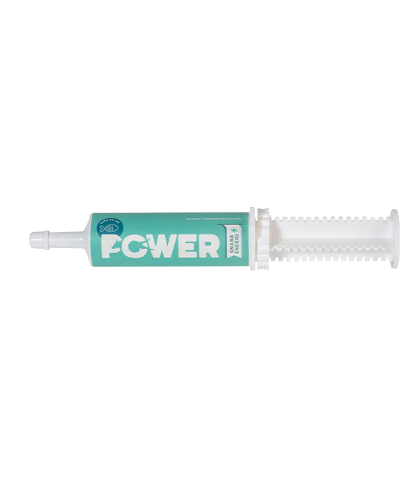 Svenska Djurapoteket Power Lax hund 60 g