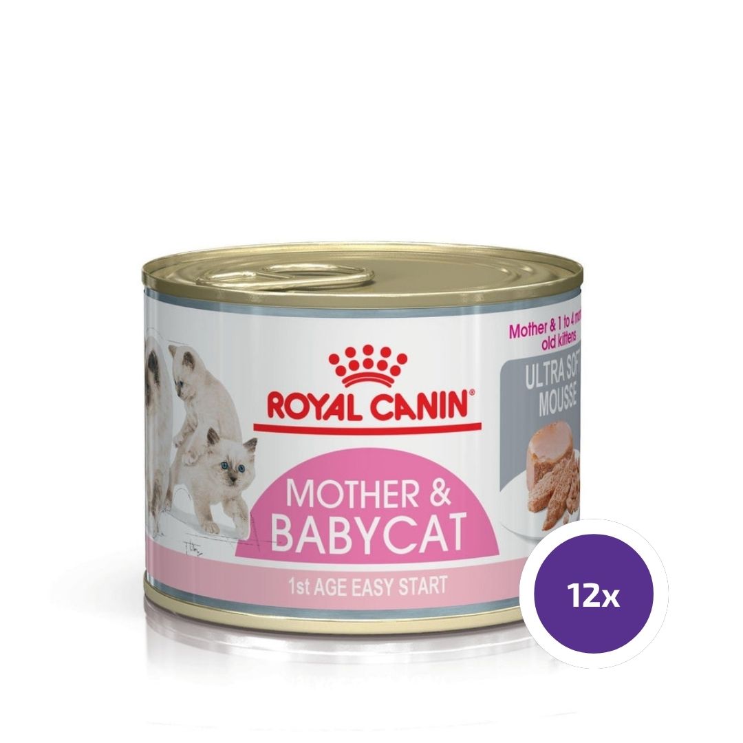 Royal Canin Mother & Babycat Mousse 12 x 195 g