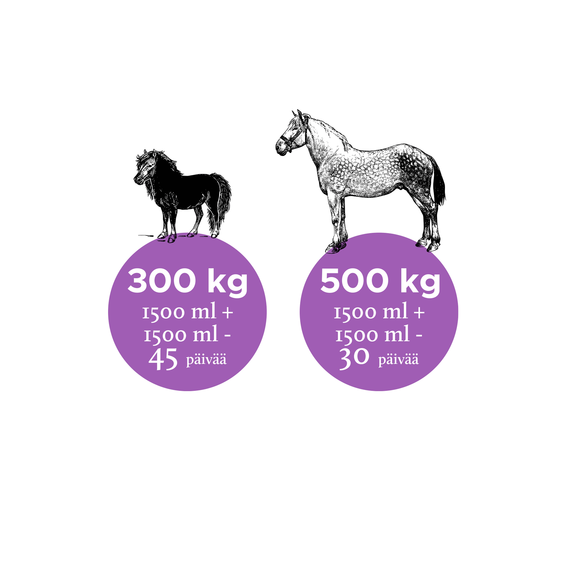 Nutrolin Horse Joint Duo 3000 ml