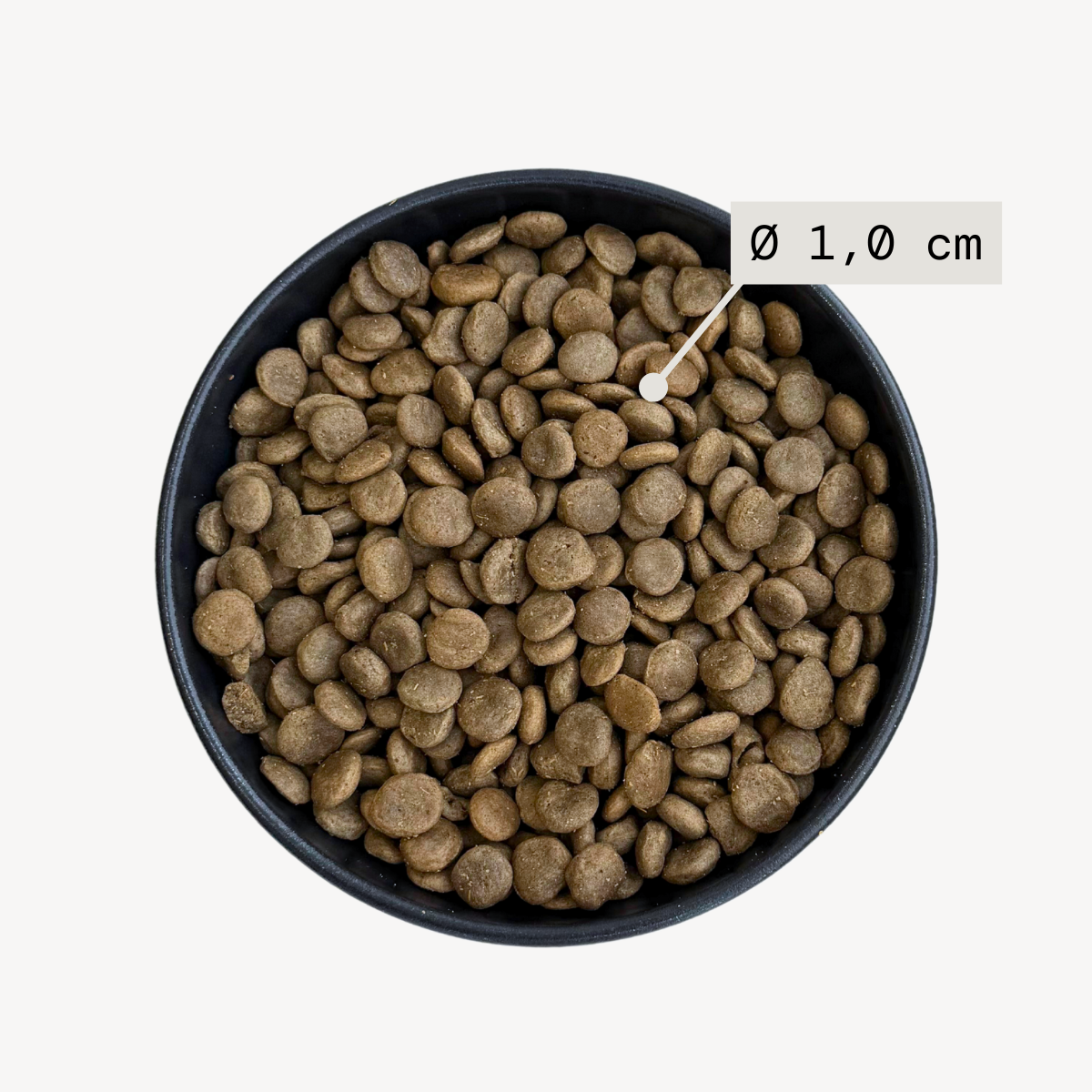 Alvar Pet Sensitive/Fish dry food for dogs