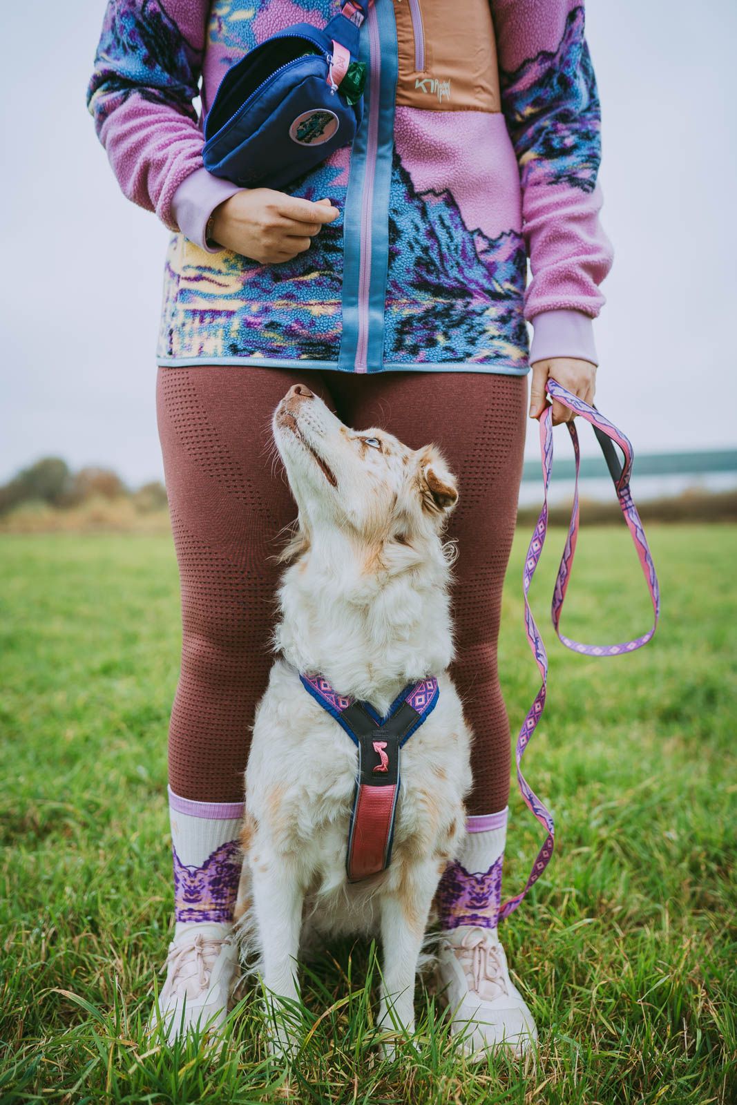 Non-stop Trail Quest koppel Rachel Pohl edition lila/rosa 15 mm / 2 m för hundar