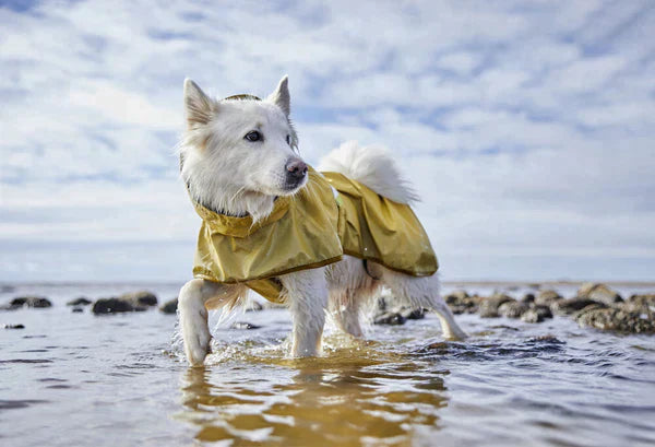 Hurtta Mudventure reflekterande hundjacka 45
