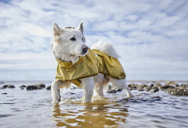 Hurtta Mudventure reflekterande hundjacka 50