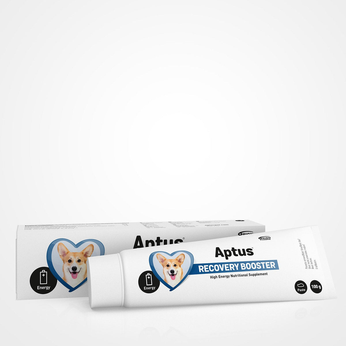 Aptus Recovery Booster för Hund 100 g