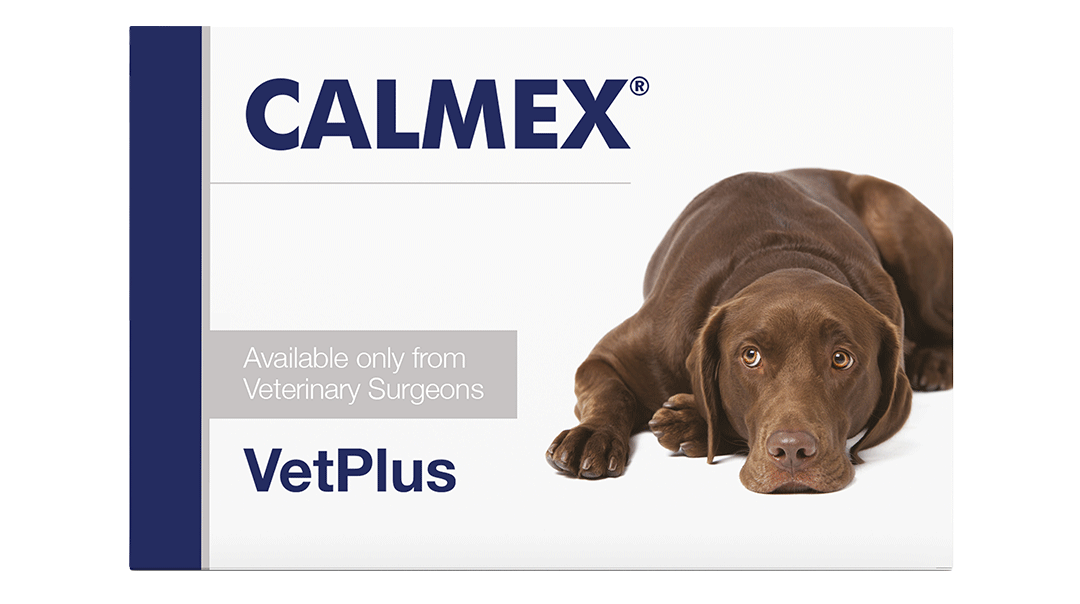 Vetplus Calmex för hundar 10 tabletter