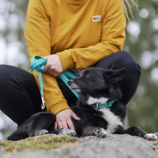 Hurtta Casual Reflective Leash ECO