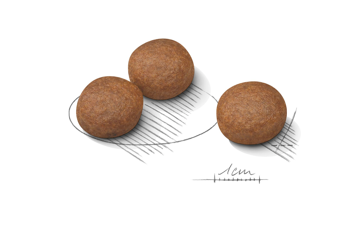 Royal Canin Digestive Care Medium torrfoder